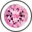 Pink Tourmaline Selected