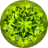 Peridot