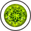 Peridot Selected